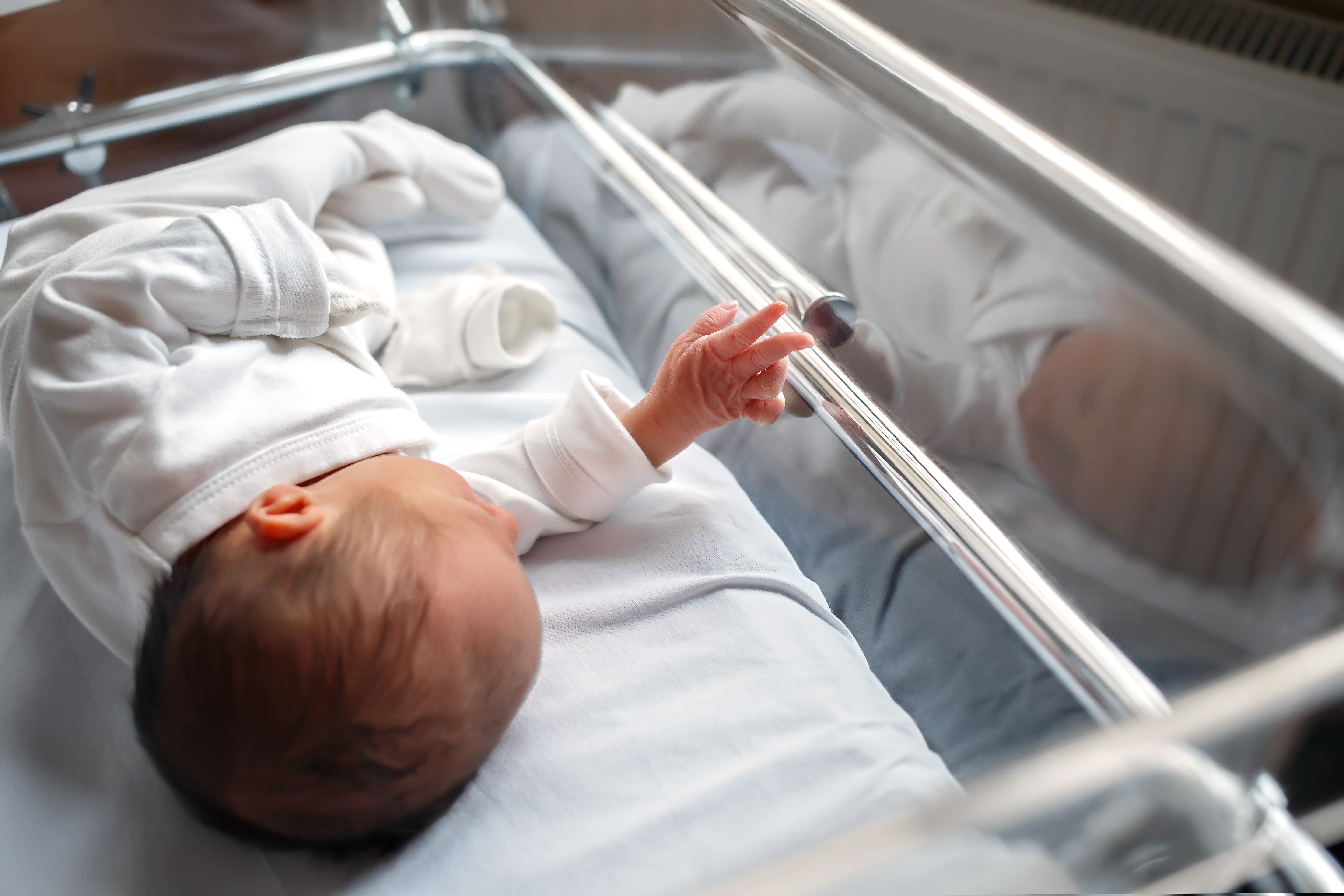 Тела новорожденных в новой москве. Новорождённые дети в больнице.