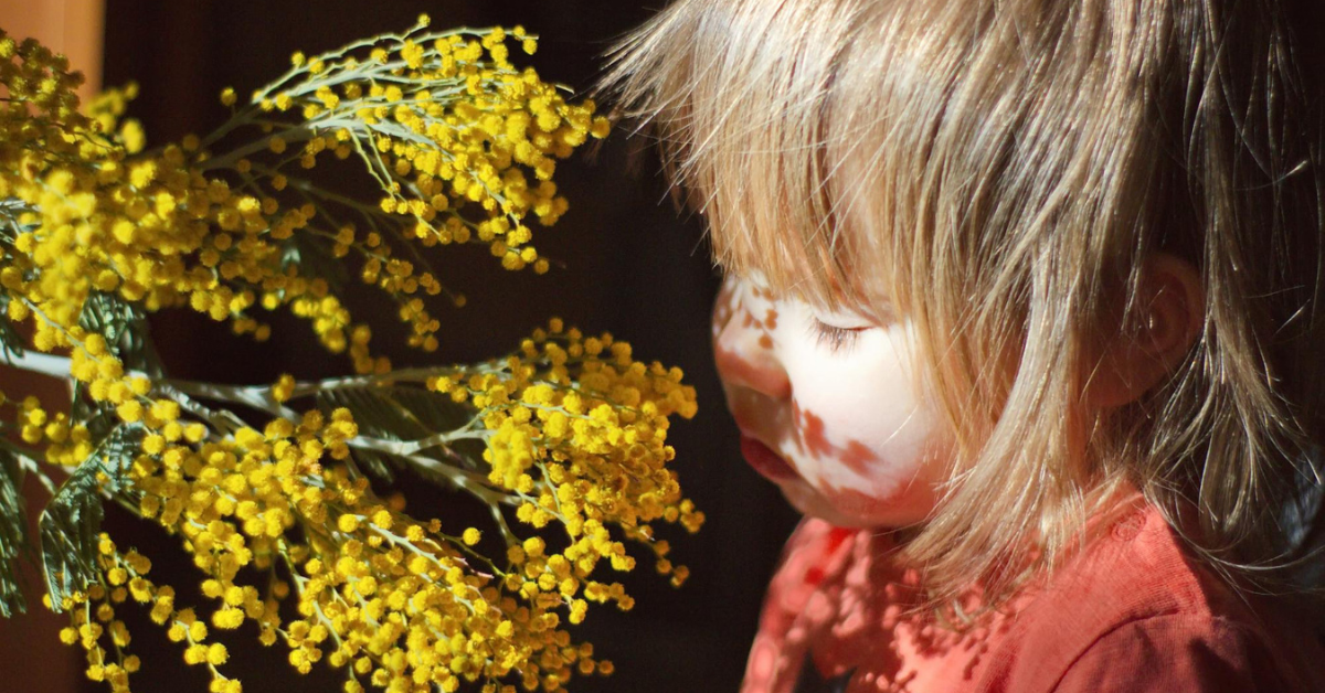 devojčica miriše mimozu