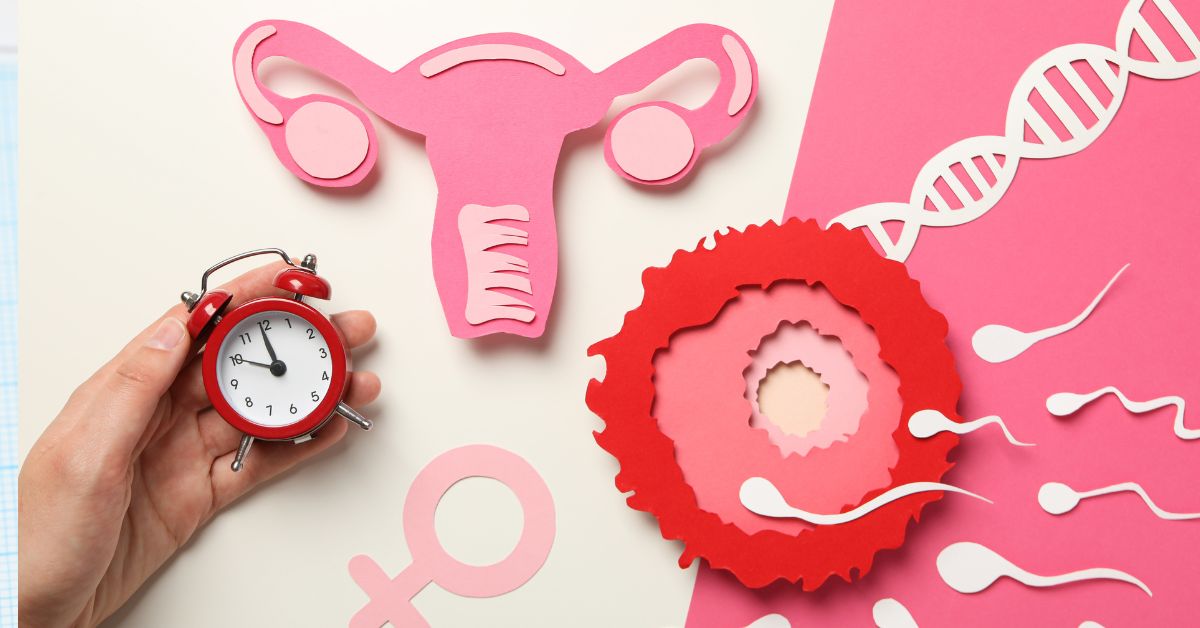 prikaz ženskih reproduktivnih organa i spermatozoida od papira, ruka koja drži sat