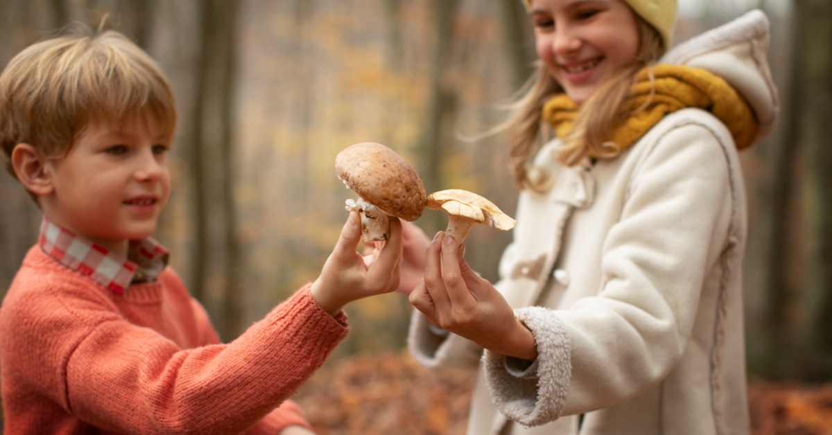 deca drže pečurke u šumi