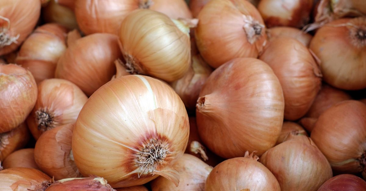 Crni luk čisti telo