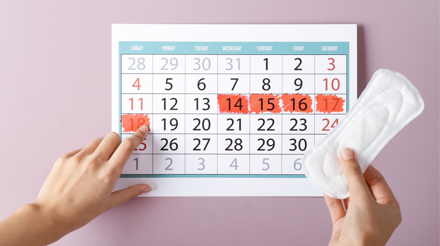 Kalendar obeleženi datumi uložak