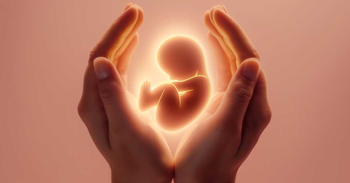 ruke drze nerodjenu bebu