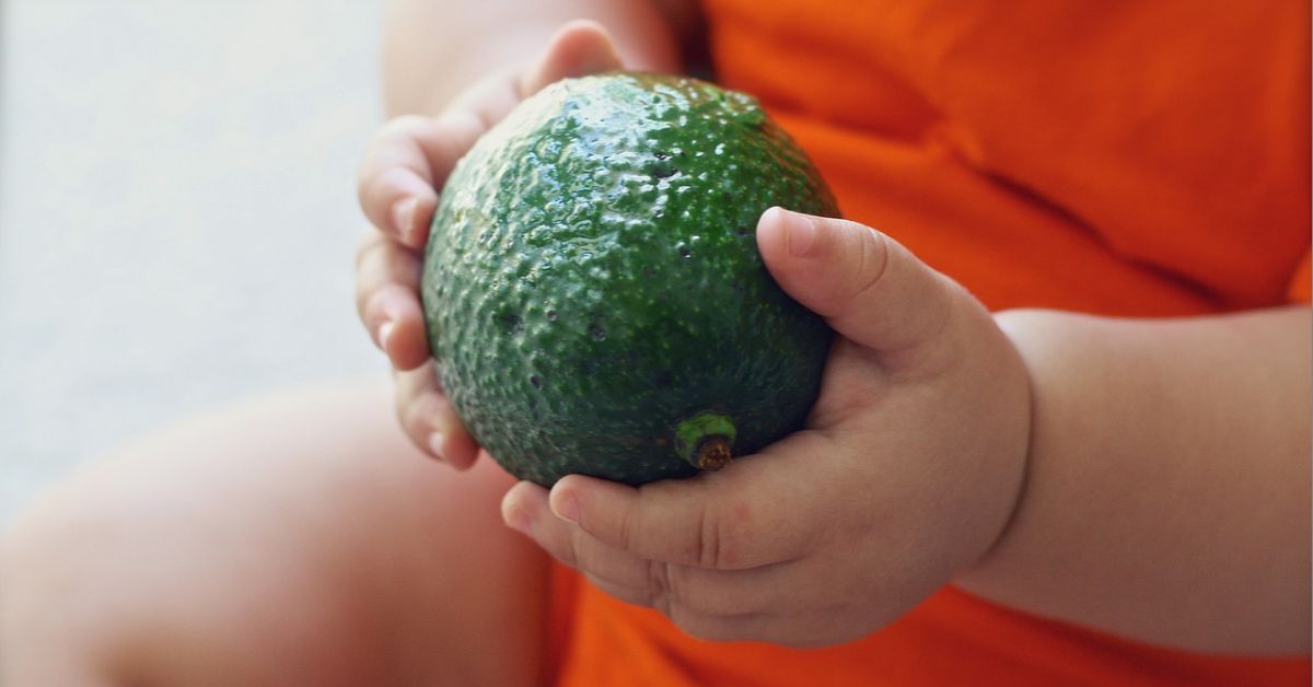 Beba drži avokado