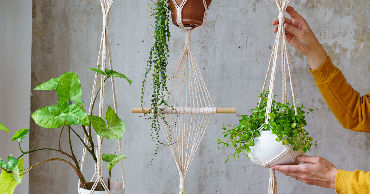 Saksije za cveće vise u makrami