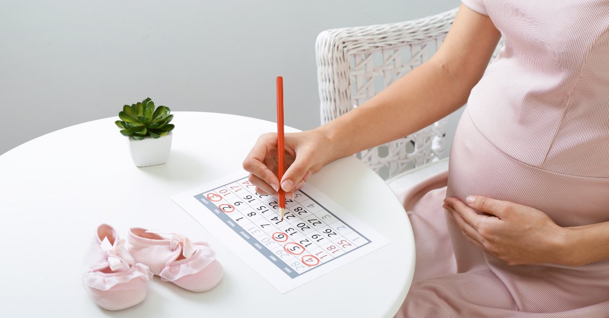 Trudnica datumi kalendar zaokruženi