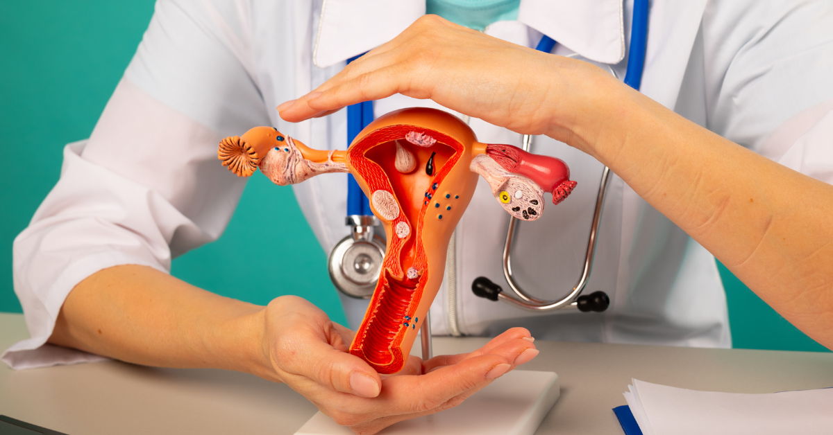 lekarka drži maketu materice u ruci