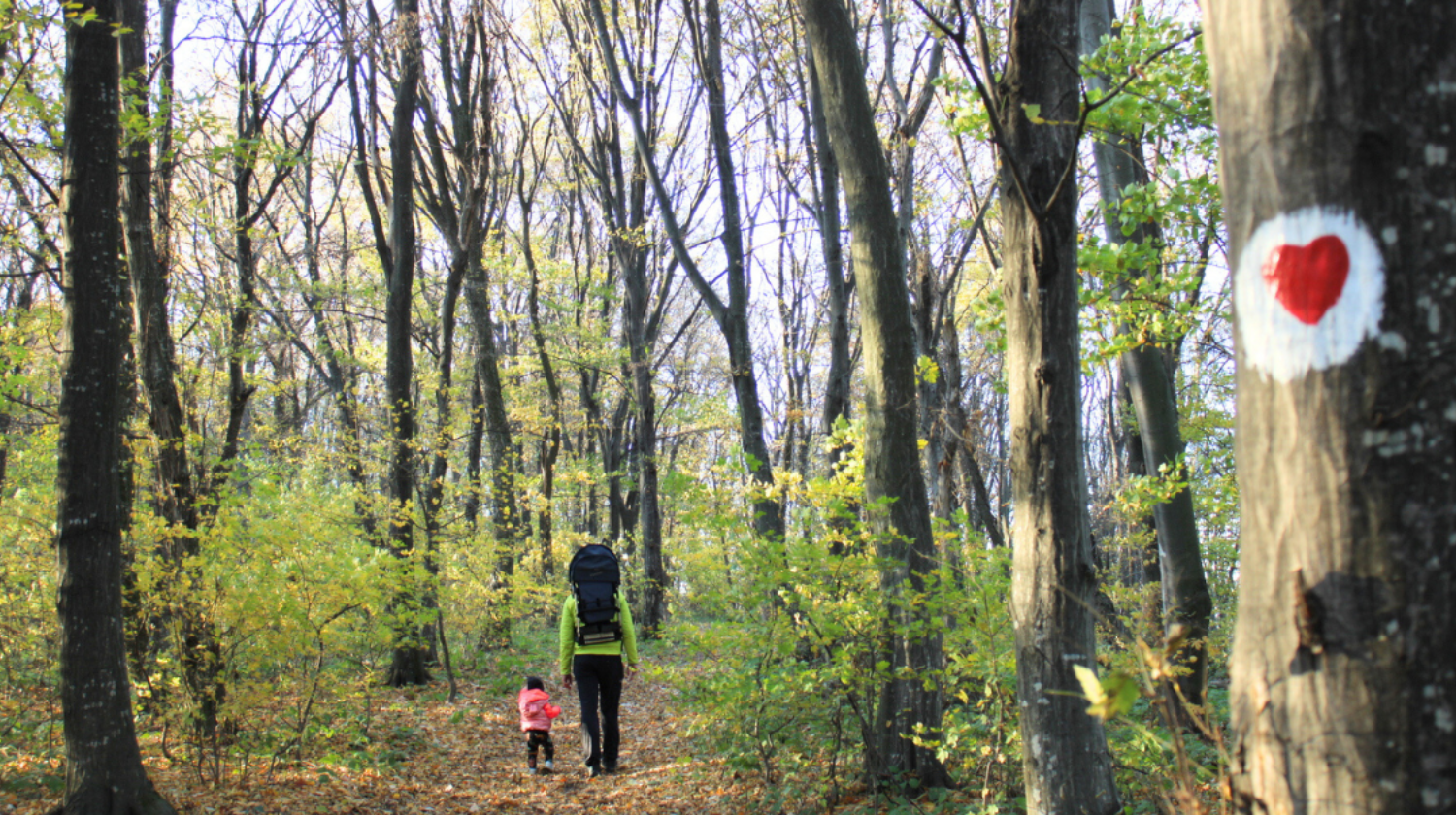 Žena i dete pešače