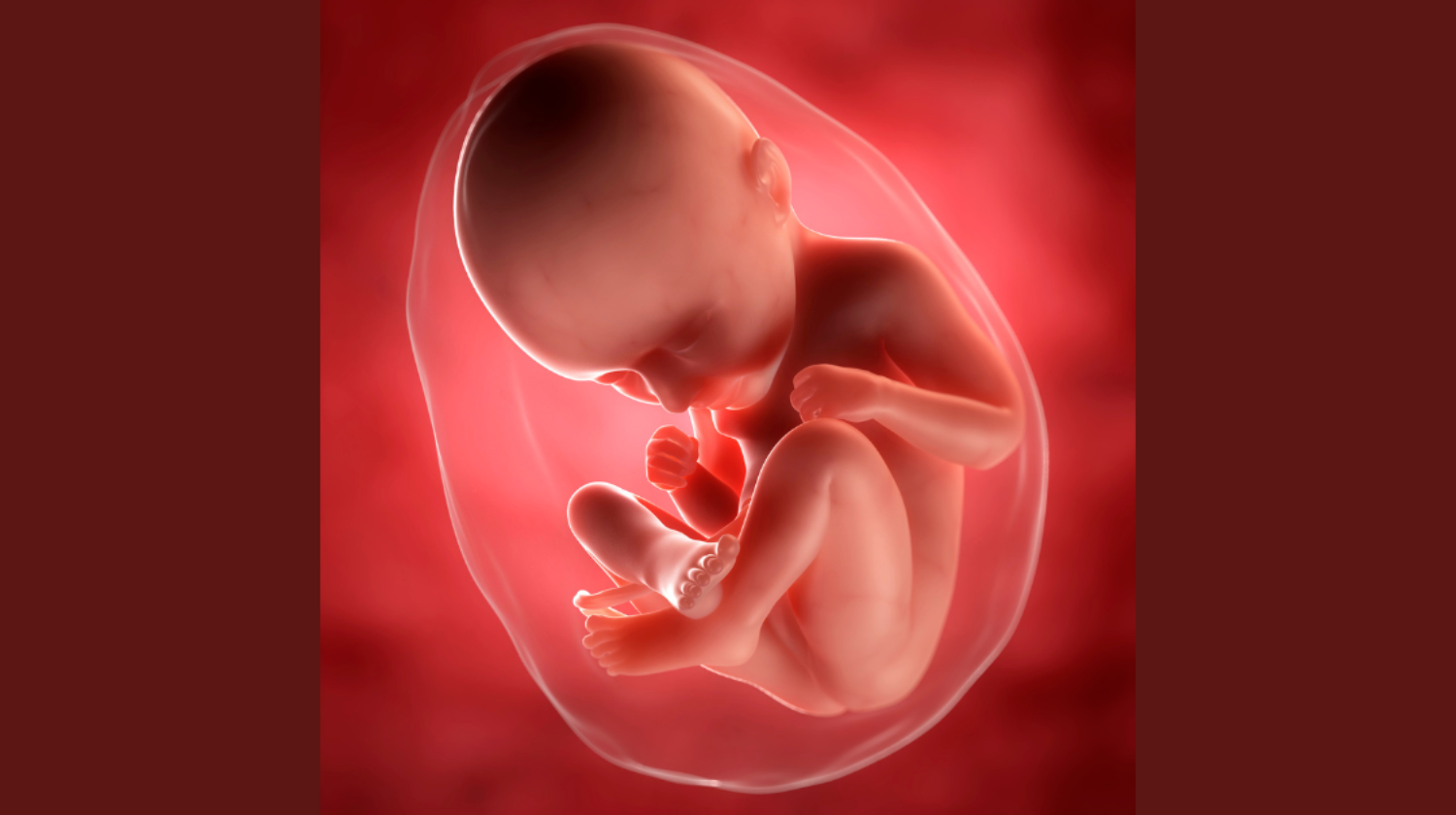 Fetus u amnionskoj tečnosti
