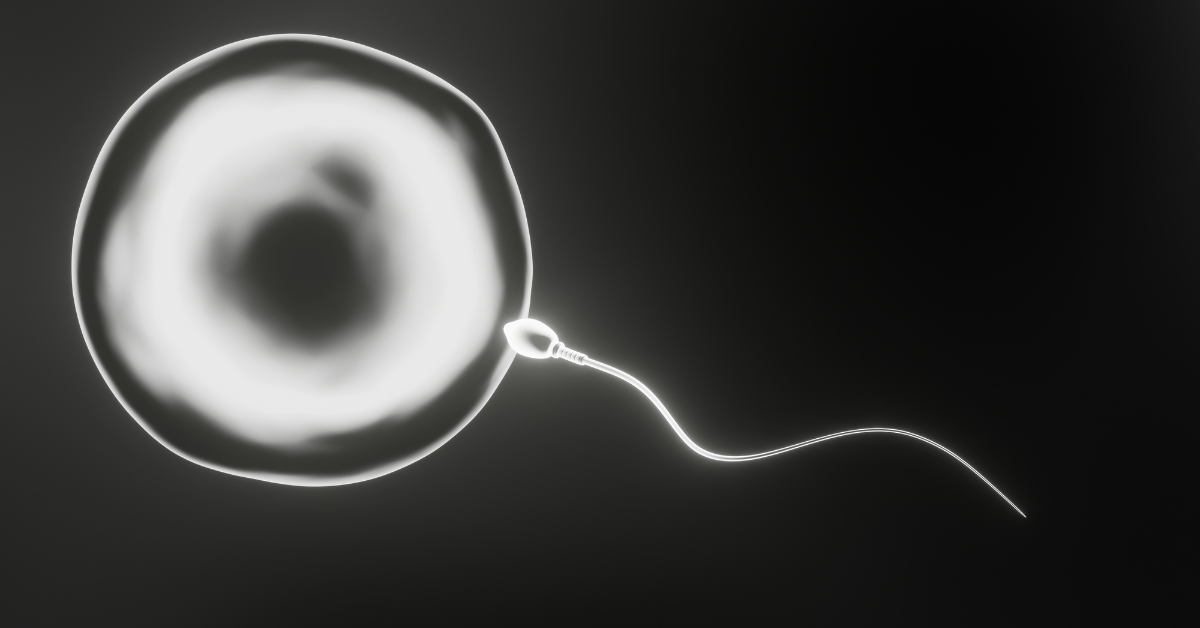 spermatozoid i jajna ćelija