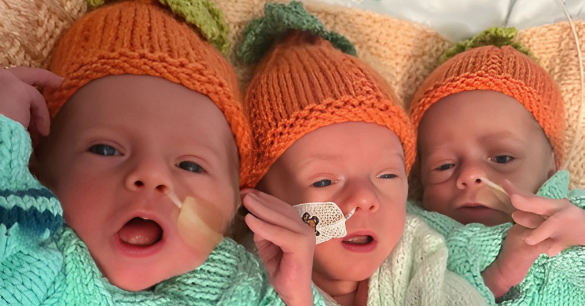 trojke Cruz, Enzo i Aljo