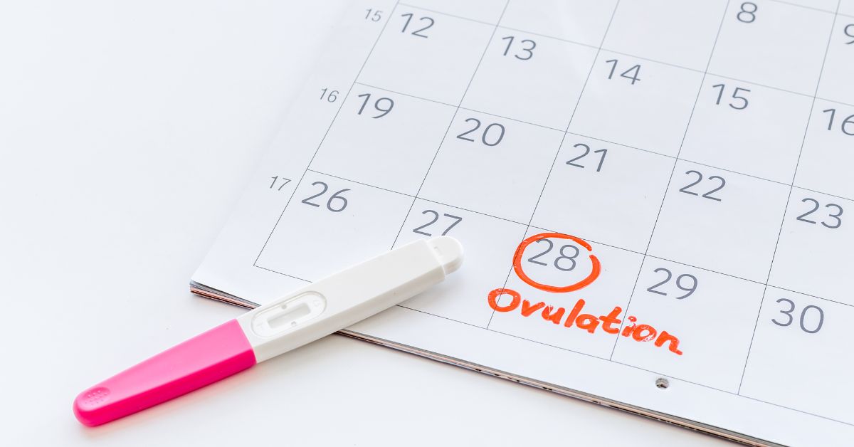 kalendar sa označenom ovulacijom i testom