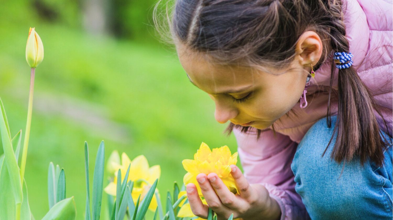 Devojčica miriše narcise cveće proleće