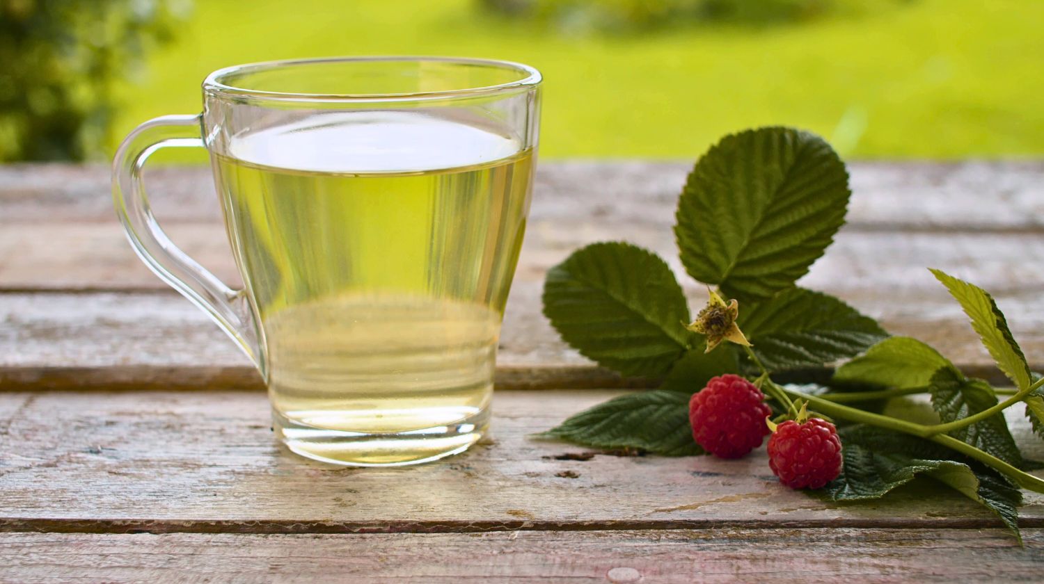 Šolja čaja od lista maline