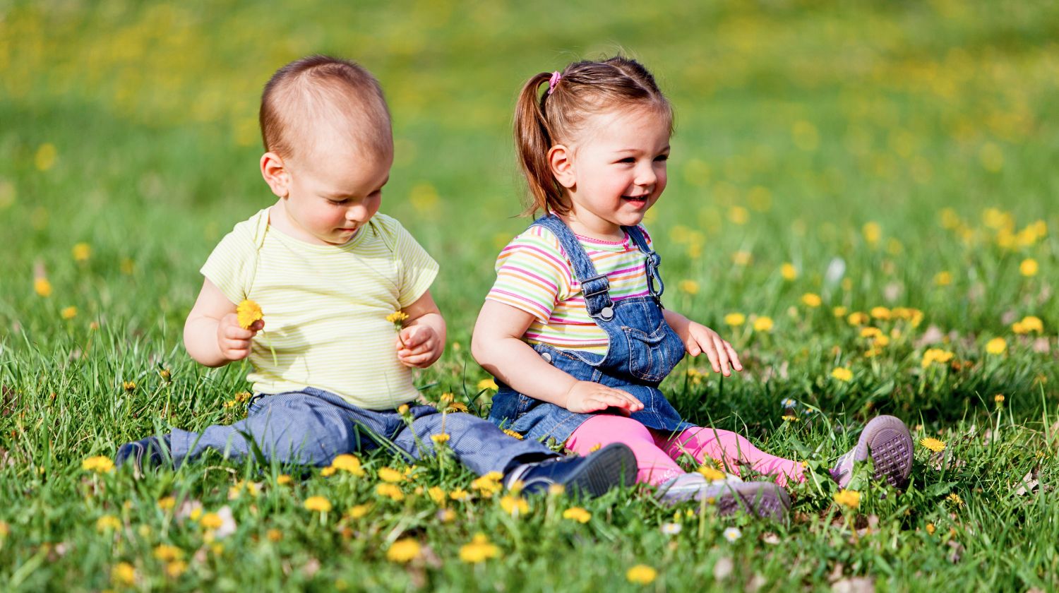 Mali dečak i devojčica sede na travi beru maslačak