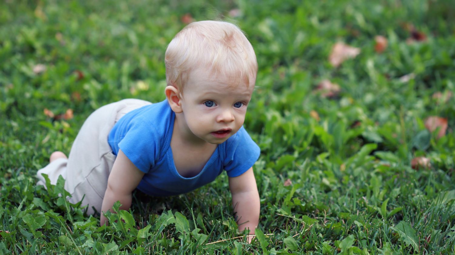 Mali dečak puzi u travi