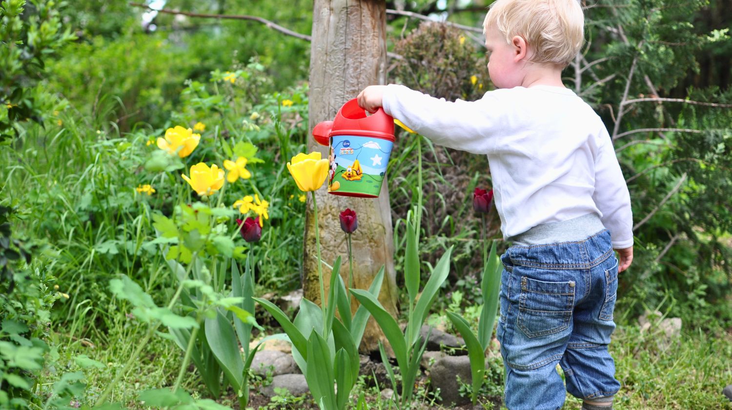 Malo dete zaliva cveće u bašti