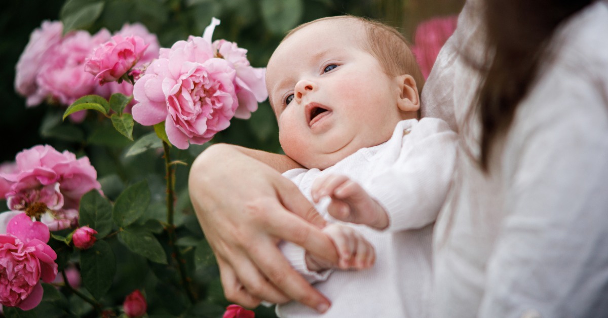 Mama drži bebu pored ruža