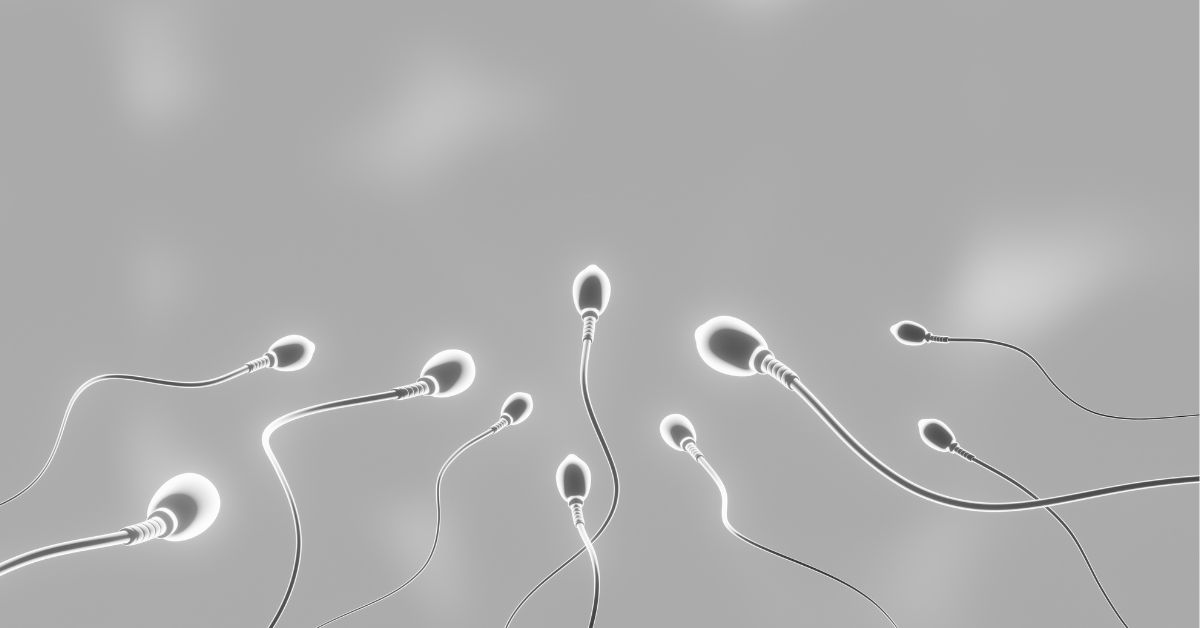 Spermatozoidi ispod mikroskopa