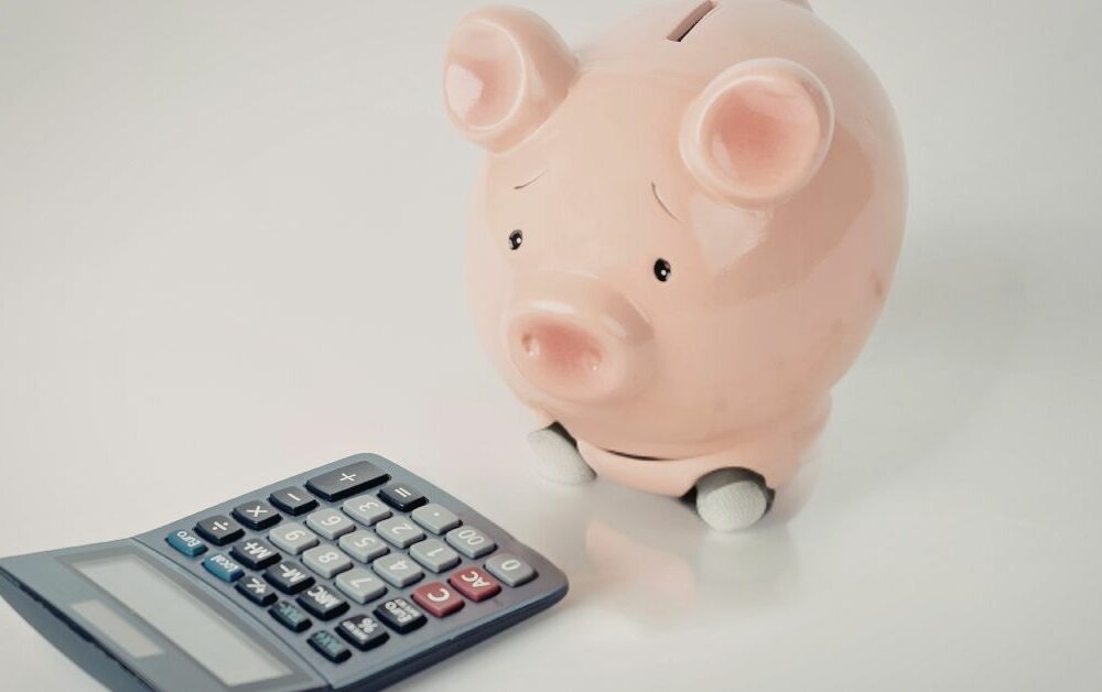 Kasica prasica digitron